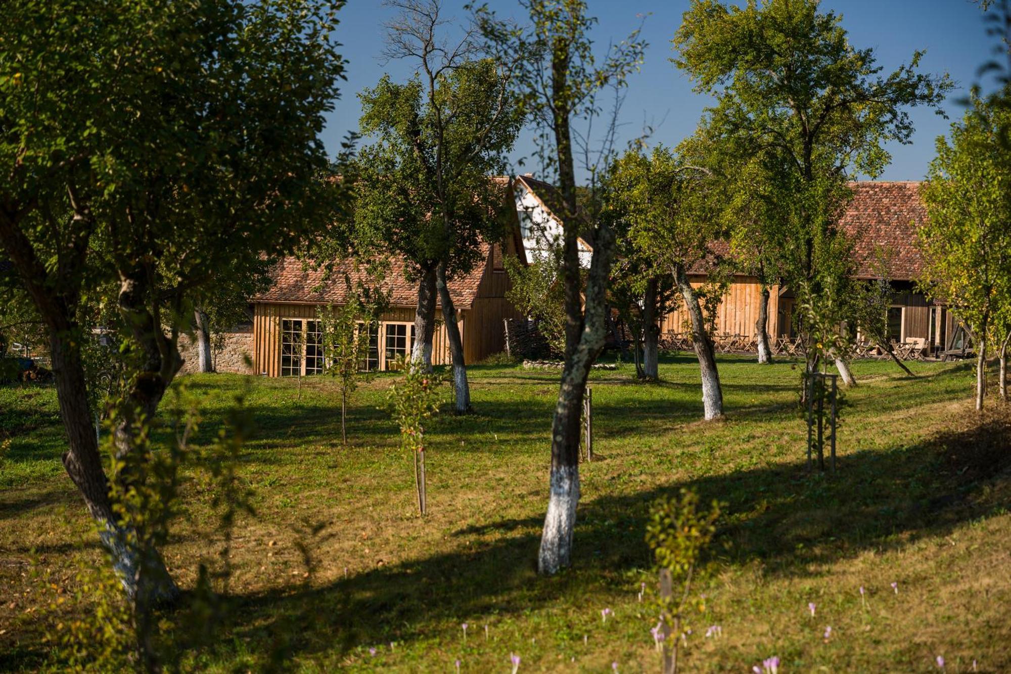 Mesendorf Gasthaus エクステリア 写真